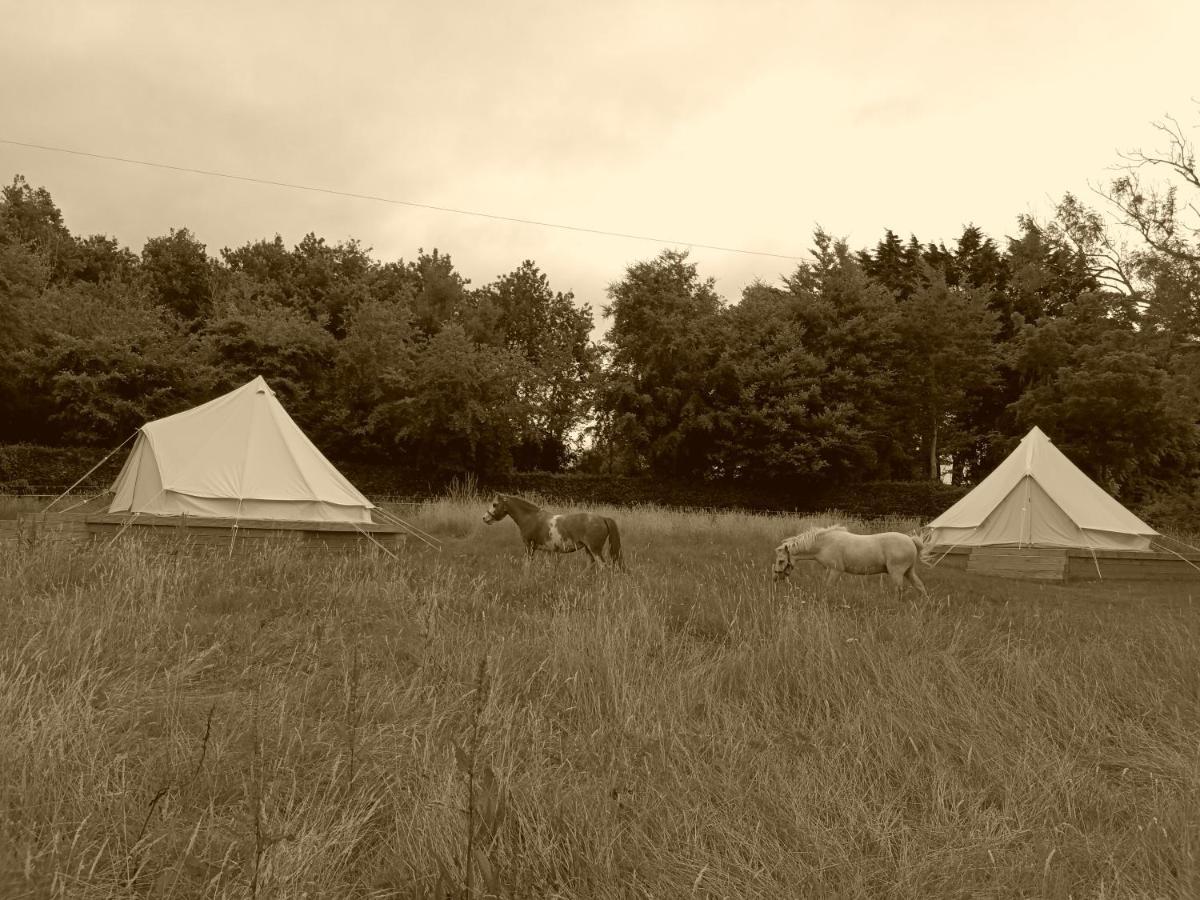 Ferry House Holidays *